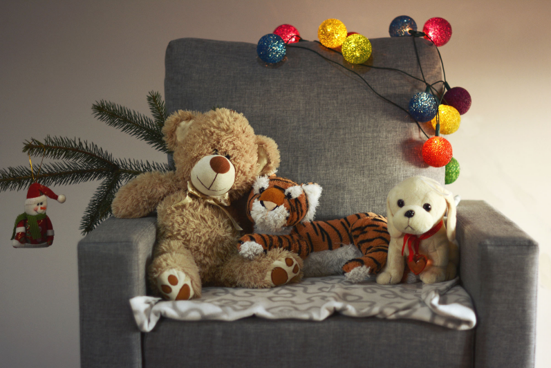 Developmental Services by Mary MacKoul