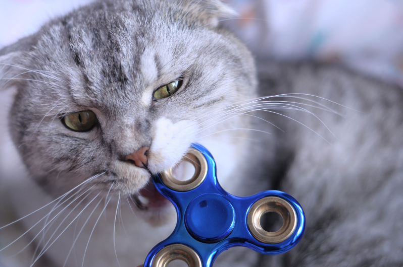 Fidget Spinners and Your Child