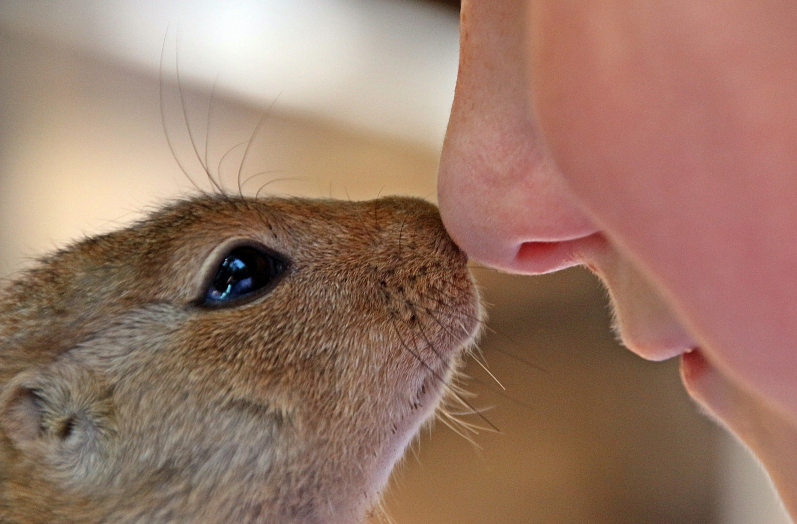 Myth: Green or yellow runny nose? Your child has a sinus infection and needs antibiotics