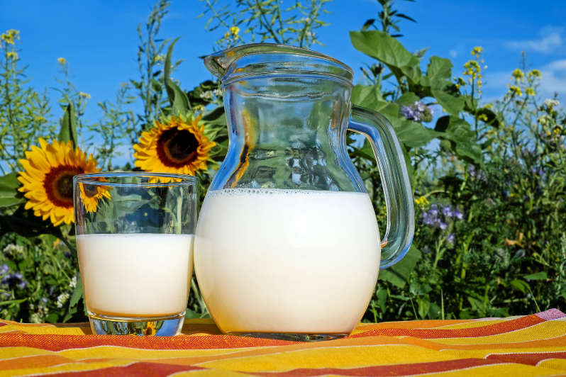 The Importance of Dairy